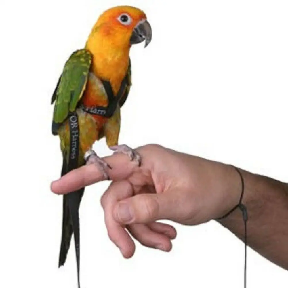 Bird Training Outdoor Carrying Parrot Harness and Leash Flying Anti-bite Traction Rope for Psittacus Erithacus Scarlet Macaw Parrots Birds Pet Bird Harness and Leash
