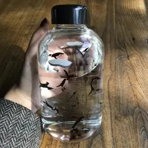 Whale Cup 600ML Frosted Glass Mup Leak-Proof Fashion Mineral Water Bottles  Drinkware Camping Travel Easy to Carry Sport Bottle A5