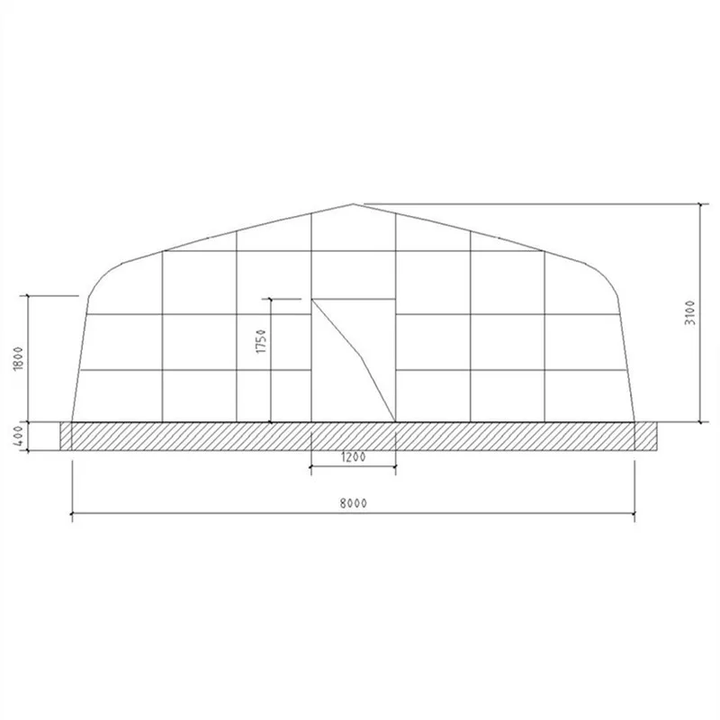 6m Wide and 10m Long Steel Frame Plastic Film Vegetable Greenhouse