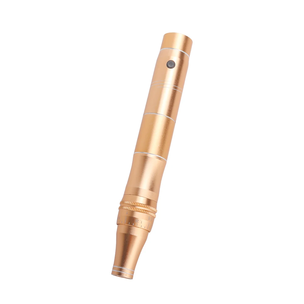 Professional Derma Pen Rechargeable Wireless Acne Scar Removal Dr pen Skin Care Tools Micro needling Derma Tattoo Gun Tools Pen