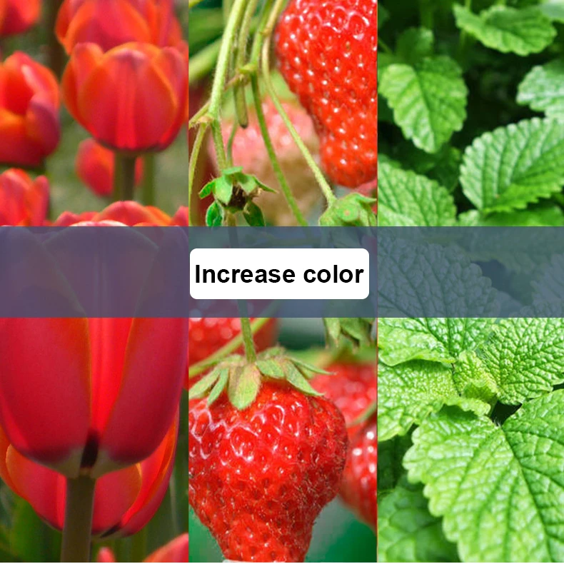 11897974154_1585587929