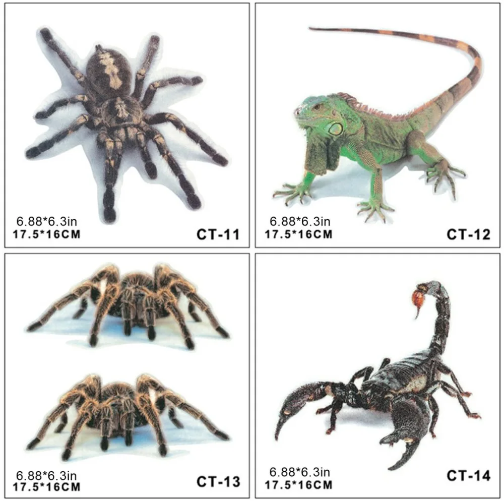 QC66901-S-20090702-1