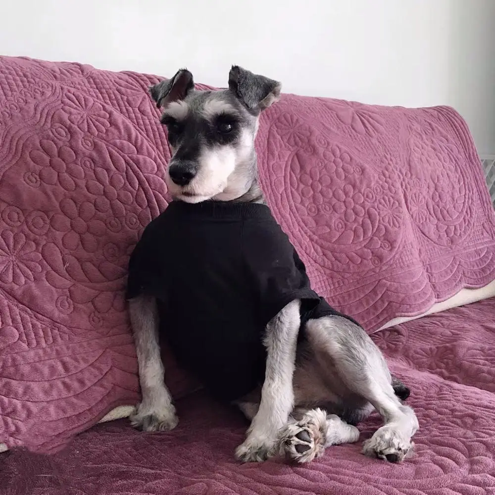 Schnauzer Fashion Summer T-shirt Corgi Vest Pet Clothes Small Dogs |French Bulldog Clothing Dog Pug Costume Dropshipping LYC01 | Дом и сад