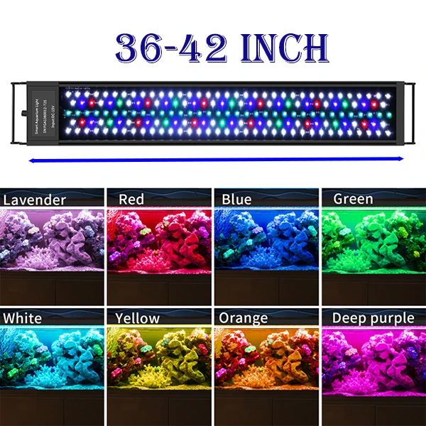 90CM 56W