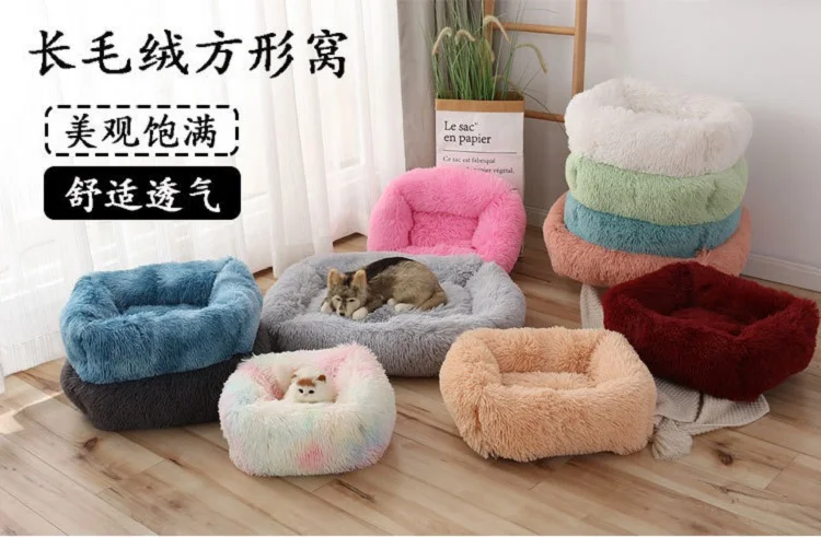 19742263684_1264281196