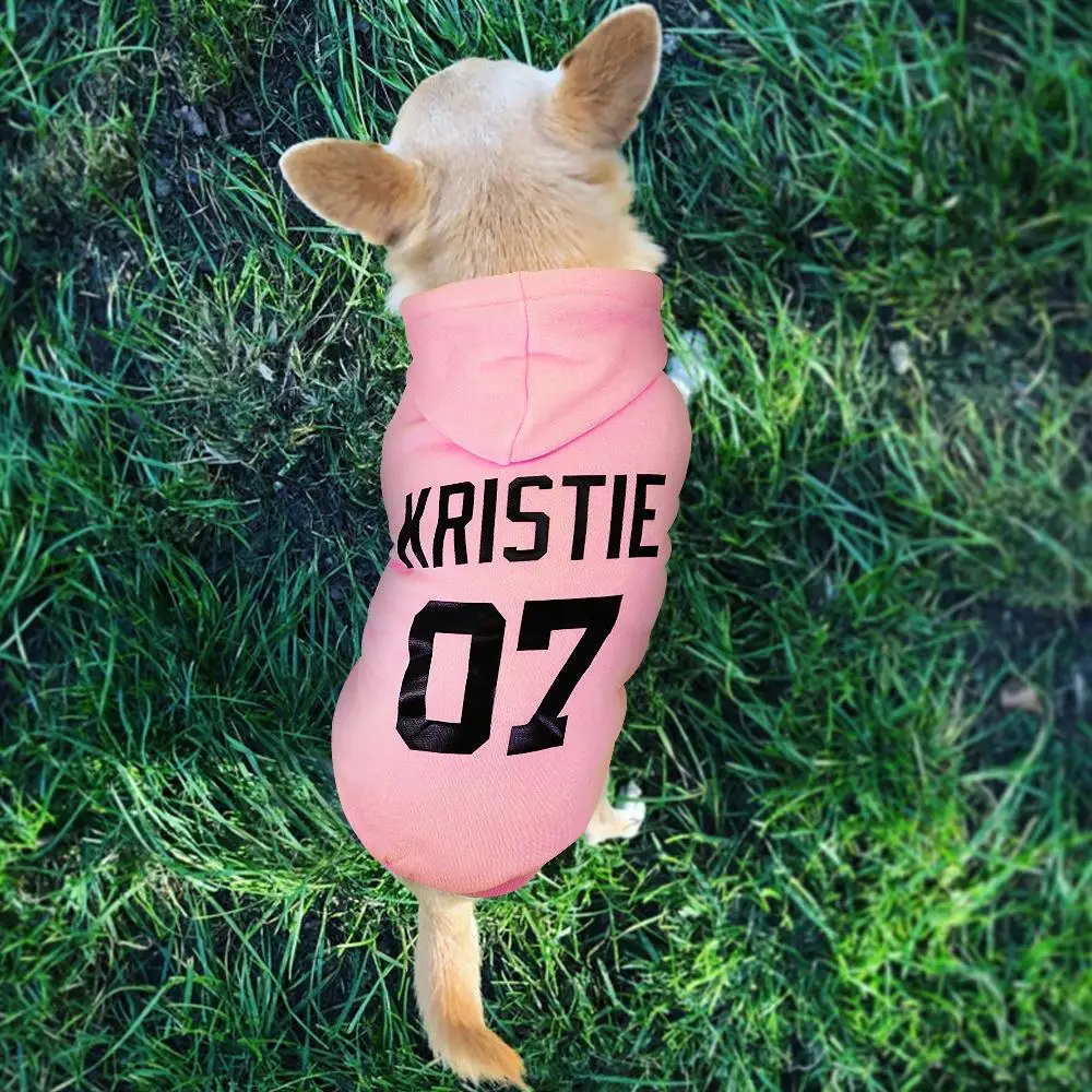 Köpek sweatshirt