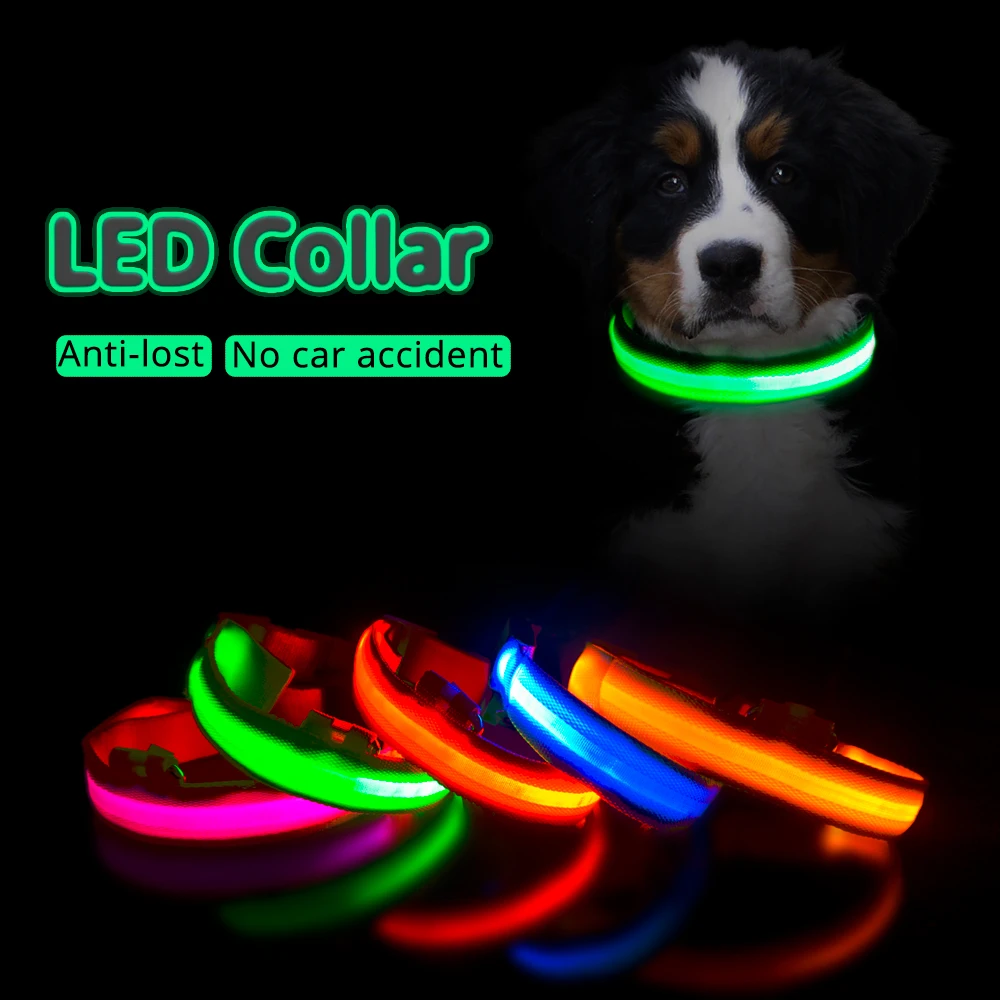 USB de carga Led Collar de perro Anti-perdido/evitar accidente de coche Collar para perros perro collares lleva LED suministra productos para mascotas