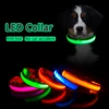 Collier à LED rechargeable par câble USB pour les animaux de compagnie, accessoire pour chiens, chiots, augmente la visibilité de l'animal sur la route ► Photo 1/6