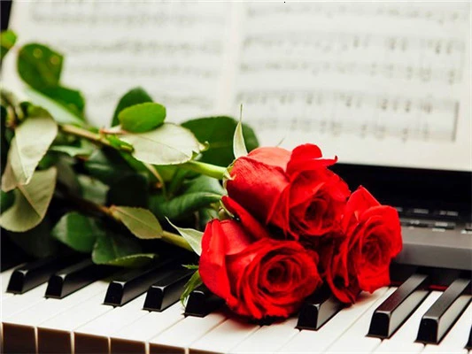 Huacan-5D-DIY-Diamond-Painting-Flower-Rose-Full-Drill-Square-Diamond-Embroidery-Cross-Stitch-Rhinestone-Picture.jpg_.webp_640x640 (9)