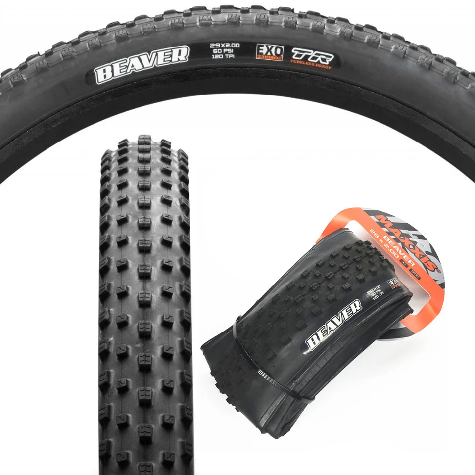 maxxis beaver 29