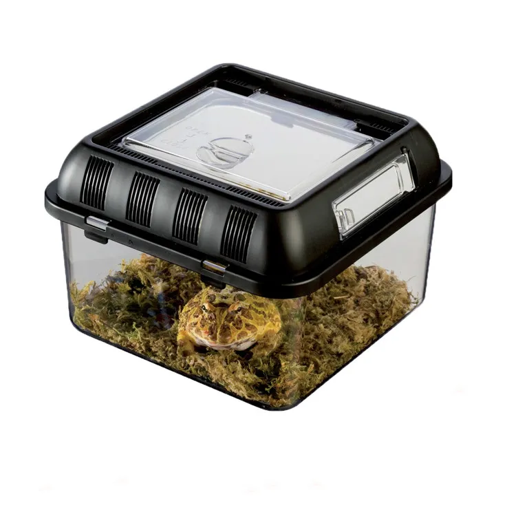 Контейнер для хранения пауков 1 шт.|Товары насекомых| |