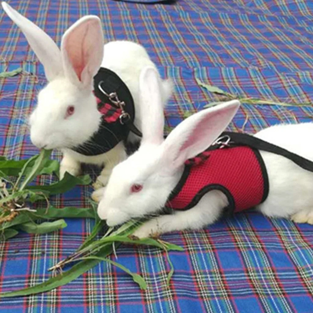 Rabbit Traction Rope Hamster Vest Horse Harness Belt Rabbit Mesh Chest Strap Harness Snow Guinea Pig 1 Rabbit Traction Rope Hamster Vest Horse Harness Belt Rabbit Mesh Chest Strap Harness Snow Guinea Pig 2