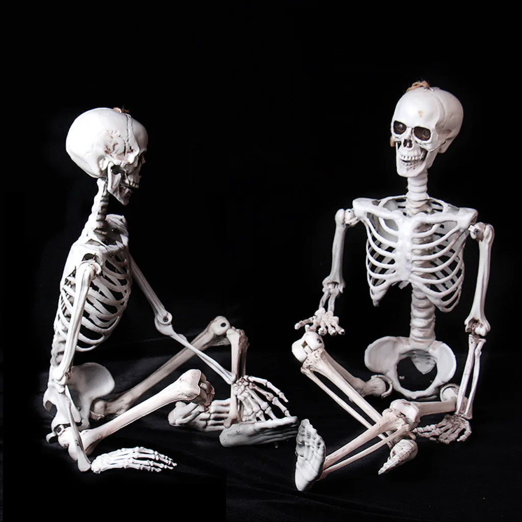 Максимальный поставщик 1 шт. Хэллоуин реквизит человеческий скелет полный размер череп рука жизни тела анатомическая модель Декор FW3