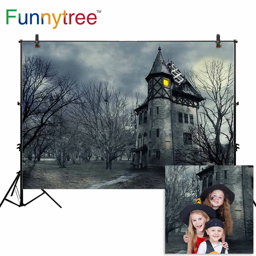 Тонкий Виниловый фон для фотосъемки с изображением фаннитри старый древний