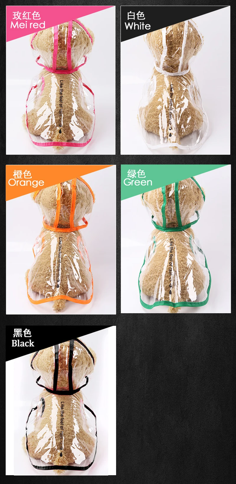 10620556535_799069744