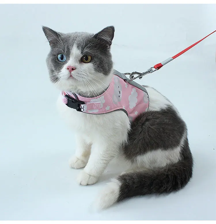 cat body harness