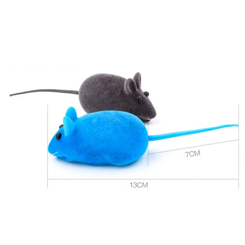 DN0295CS (6)