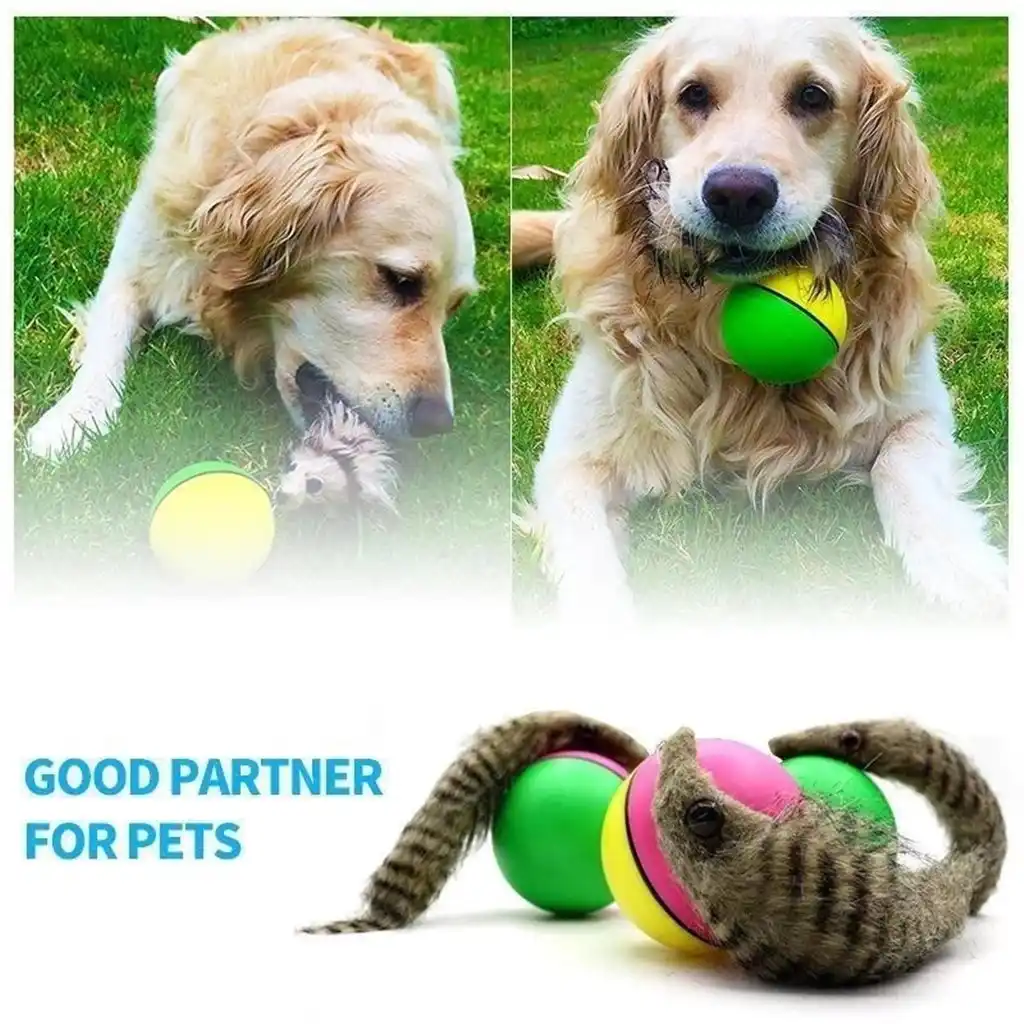 moving puppy toy