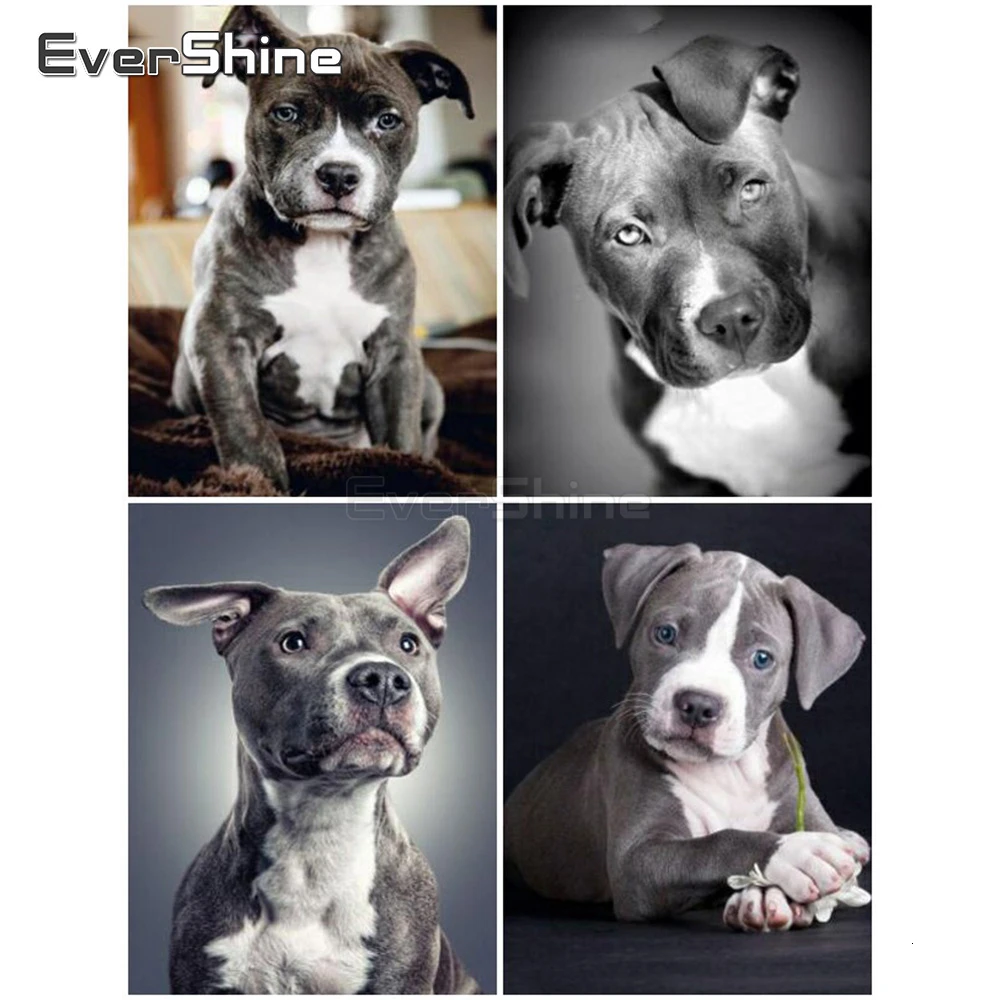 EverShine 5D Diamond Painting Full Square Dog Cross Stitch Embroidery Sale Animals Bead Picture Kits Home Decoration | Дом и сад