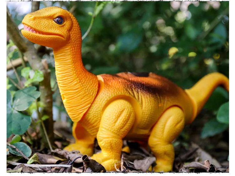 6666088583_201743743