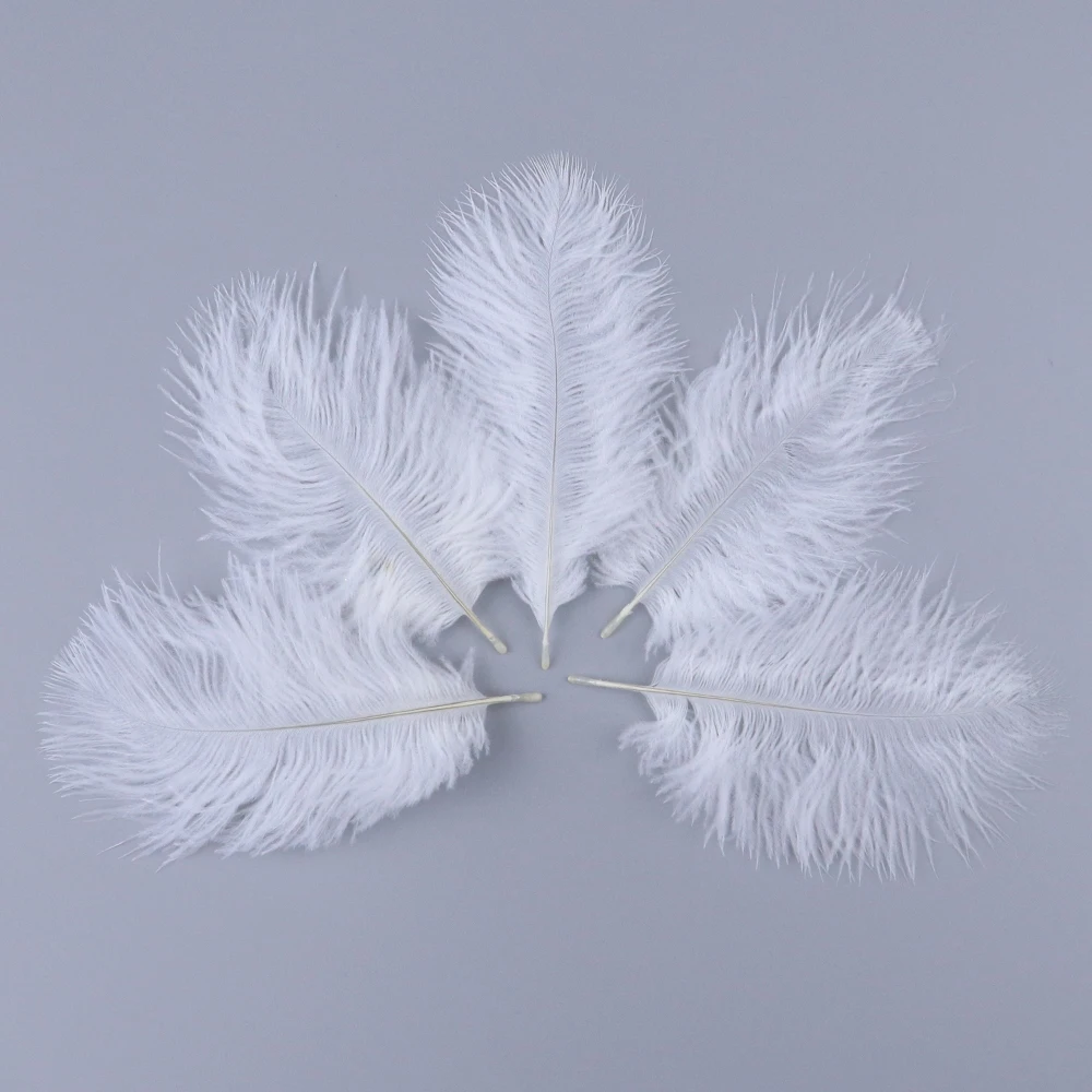 TS0105012 5-10cm ostrich feathers 4