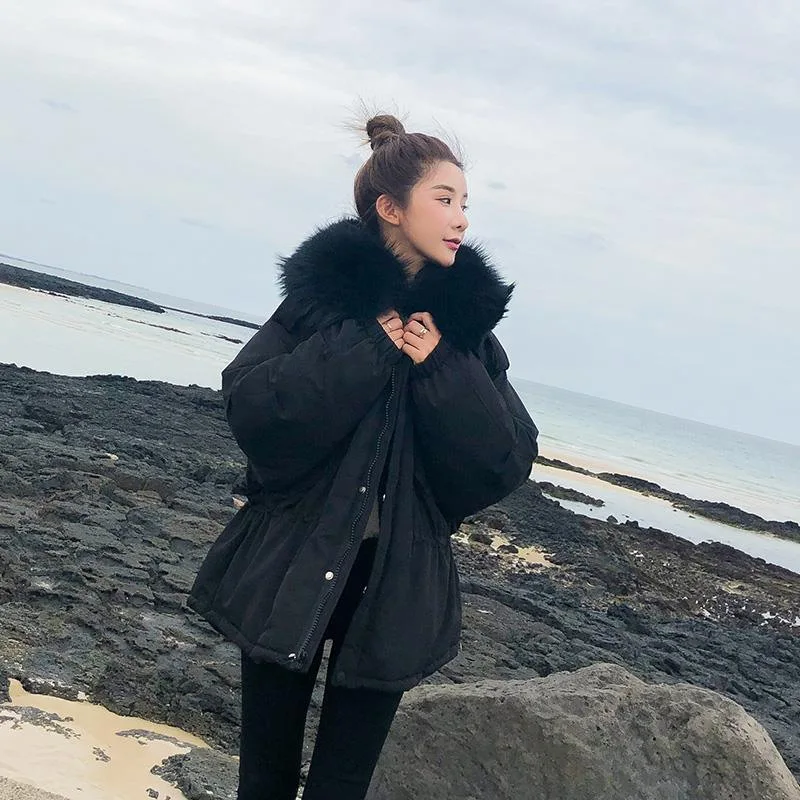 

Photo Shoot Main Push Cotton-padded Clothes 2019 Winter New Style Short-height Mid-length Hooded Large Fur Collar Workwear Cotto