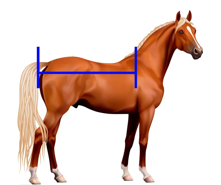 HTB1JMKobaLN8KJjSZFvq6xW8VXaw