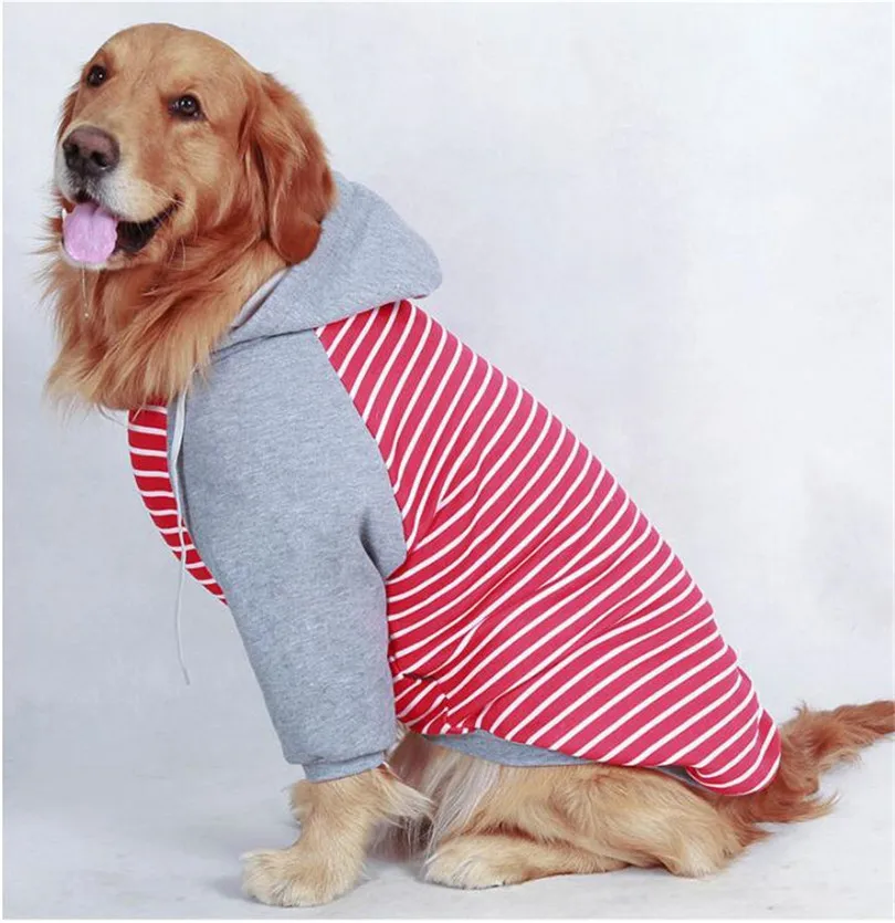 Pet Hoodie 7