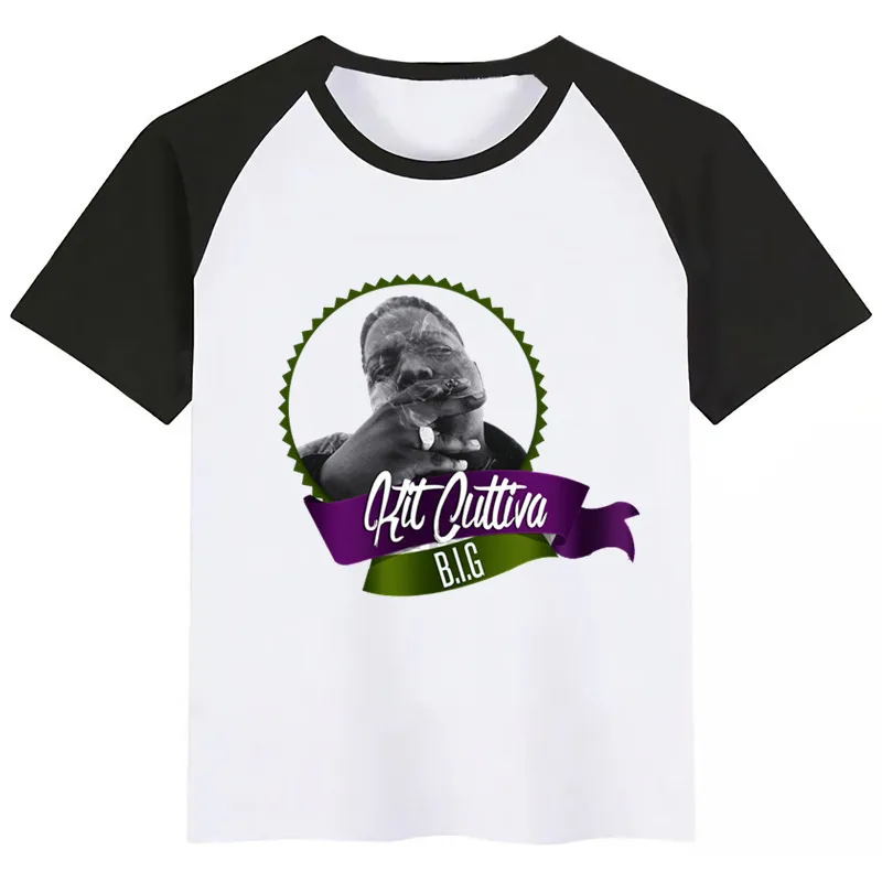Известный B.I.G Американский хип-хоп Biggie Small, модная футболка с забавным принтом с героями мультфильмов детские топы с круглым вырезом, футболка для мальчиков и девочек - Цвет: D122D