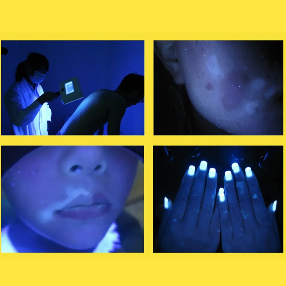 ZJK2700-C-2019091006-1