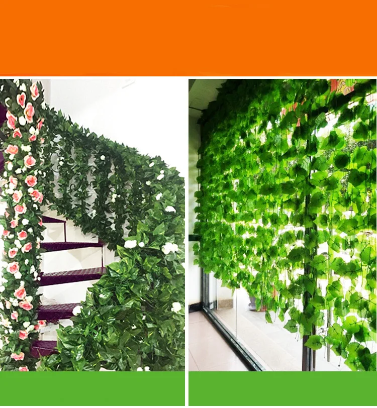 11179034997_1451029161