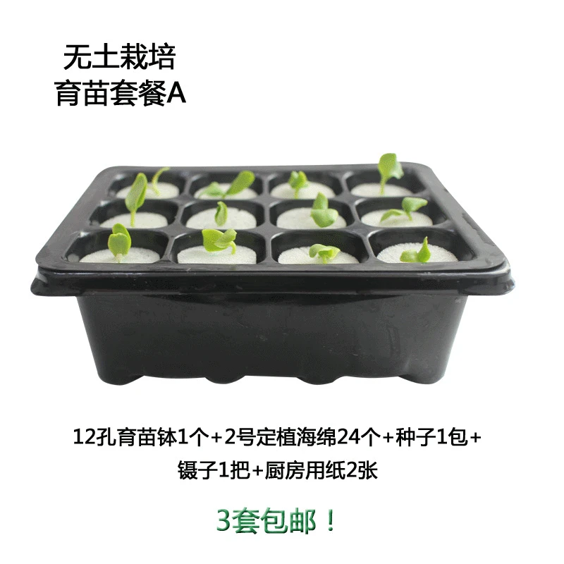 

Lucky Buyer Grow in Water Leafy Vegetables Fruit And Vegetable Flower Only Tool Completed Soilless Seedling Package A