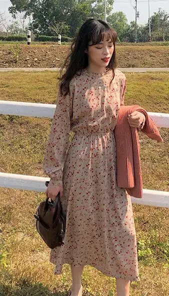 dress Осенний и зимний корейский стиль свободный плотый вязаный кардиган женский Карманный вязаный свитер кардиган feminino(X277 - Цвет: dress