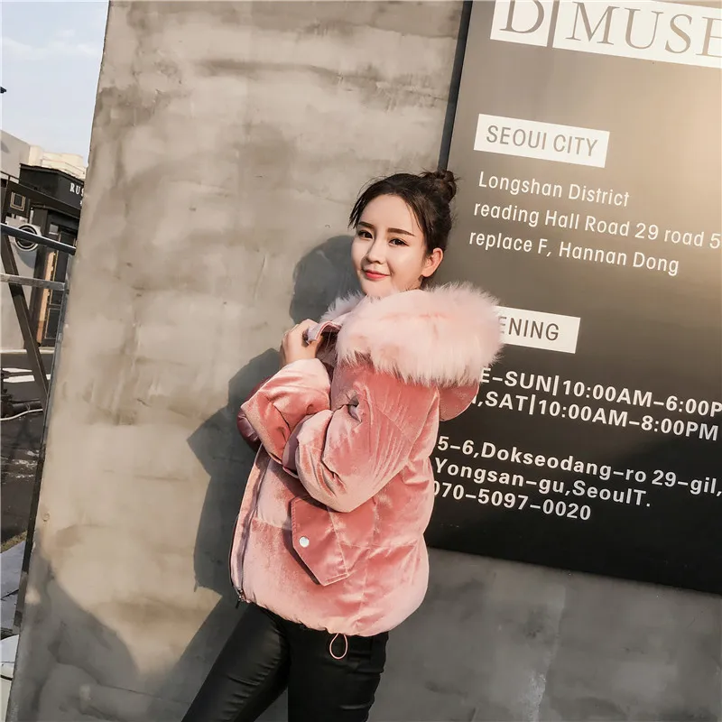 Photo Shoot Winter New Style Korean-style Short Hooded Large Fur Collar down Feather Cotton-padded Clothes WOMEN'S Dress Thick d