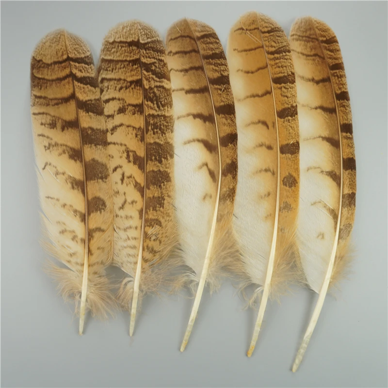 Natural Eagle Feathers 10Pcs/Lot For Crafts Plume Headdress Accessories Holiday Decoration Carnival Feather DIY Handicraft Decor