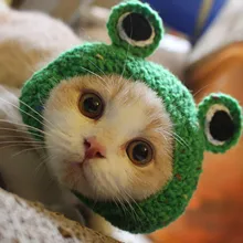 Artykuły dla kotów nakrycia głowy uszy dla psów jesienne i zimowe dzianiny małe mleko kot małe kreskówki dla zwierząt żaba oko słodkie śmieszne kapelusz szczeniak czapka dla kota tanie tanio CN (pochodzenie) Knitted Pet Hats