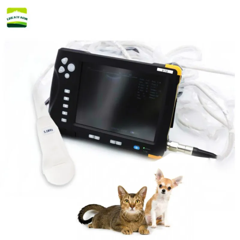 Рисунок 5 - Ветеринарный ультразвуковой сканер