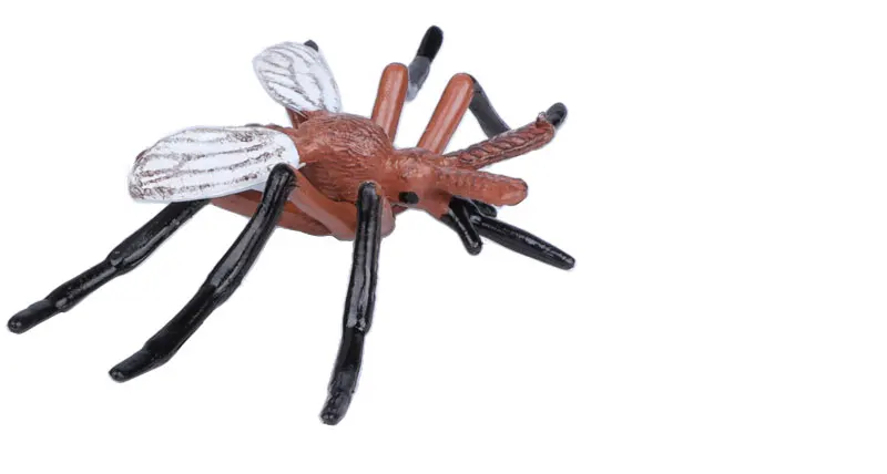 Моделирование насекомых лягушки жизненный цикл набор Москитная модель черепахи муравьи экшн и игрушки Фигурки обучающие и Развивающие детские игрушки