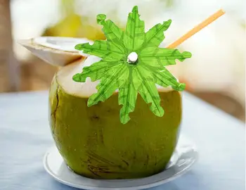 

1000pcs Coconut Umbrella Picks Cocktail Decorative Garnishes Wedding Cocktail Drinks Party Sticks Paper Parasol Umbrella SN2832