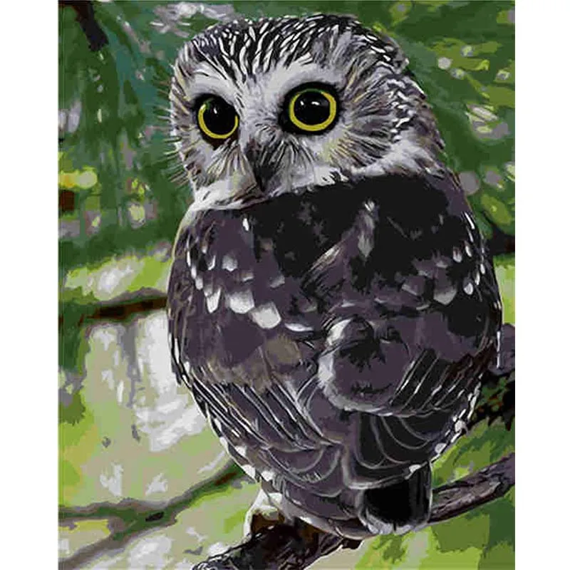 

Frame Animal Painting By Numbers Oil Painting On Canvas Handmade Parrot On a Branch Wall Art Pictures For Living Room