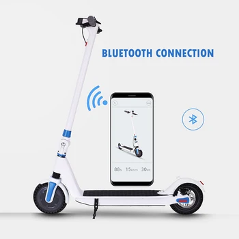 

2020 New Light Weight 8.5 Inch Kick E Scooter 36V Electric Foldable Scooter