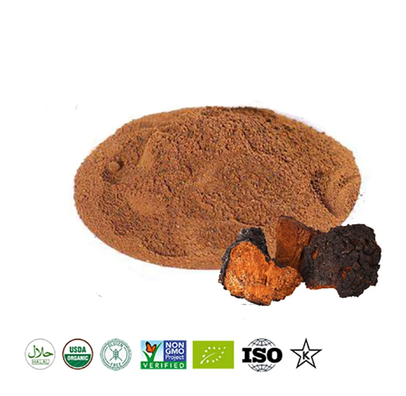 Натуральный chaga порошок из грибов