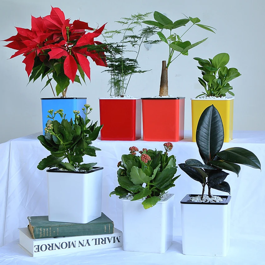 

2019 New Automatic Water plastic flowerpots Desktop self-absorbent basins Bonsai flowerpots Hydroponic for indoor Office Garden