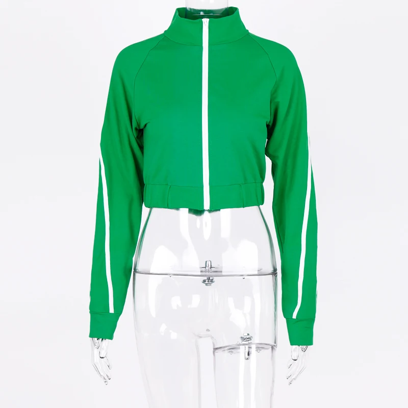 Hugcitar/, укороченная куртка в полоску с длинными рукавами и молнией, юбка, комплект из 2 предметов, осенне-зимний женский топ, спортивный костюм - Цвет: Зеленый
