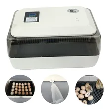 180V/240V 50-60HZ 85W Auto-Turning Digital 24 Eggs AU Plug Incubator Automatic Hatch Chicken Duck Egg 43x29x22.5cm Simple