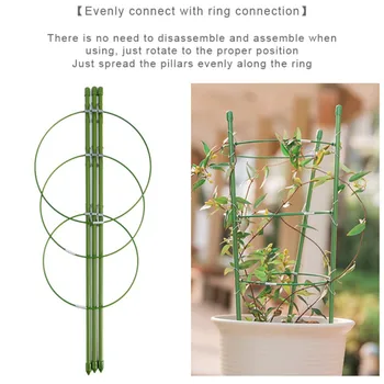 

Plant Support Cages 17.7/23.6 Inches Plant Cages With 3 Adjustable Rings, Supporter Climbing Plants