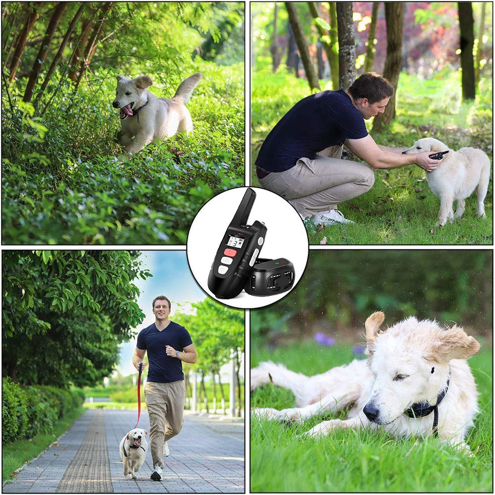 medium dog shock collar