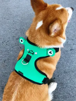 

Small Cloth Dog Harness Fishnet Chest Strap Dogs Adjustable Dog Harnesses Walk Chapa Perro Personalizada Outdoor Products OO50XQ