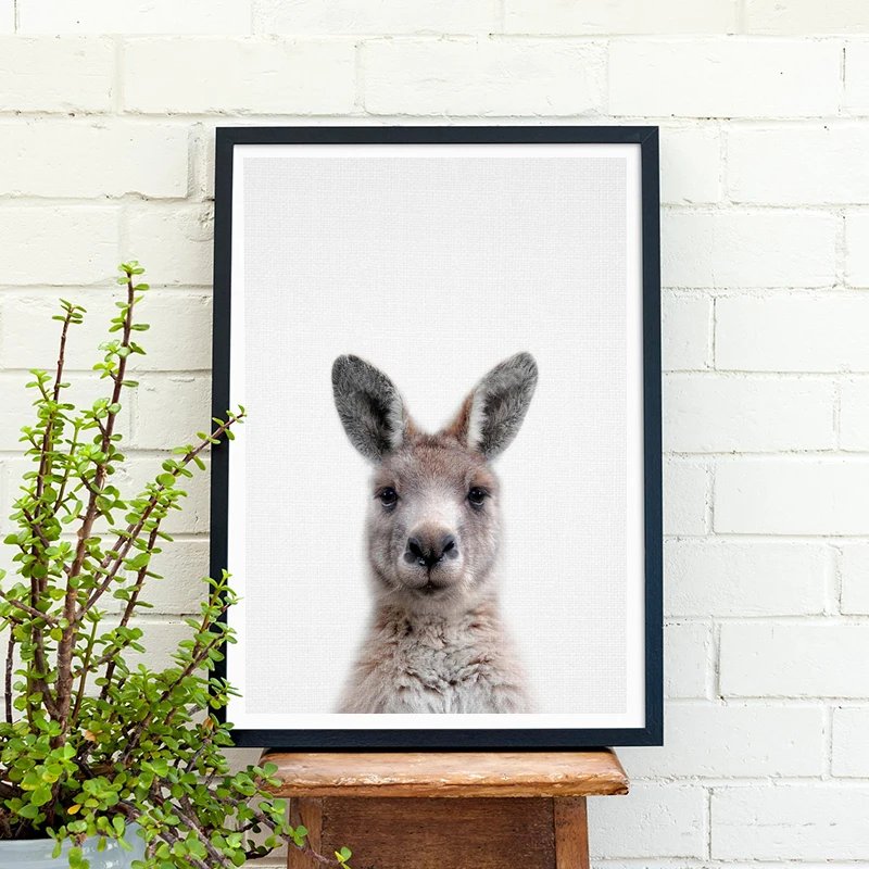 Nordic Picture Australian Animal Photography Kangaroo Poster Nursery