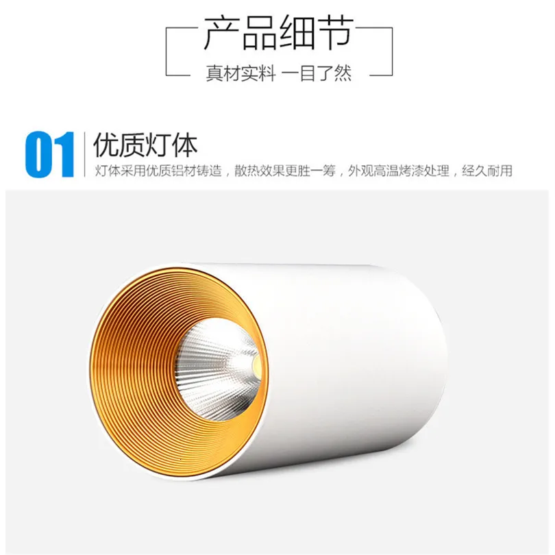 10PCS Dimmable LED Downlights 10W 15W AC 85-265V Surface Mounted LED Ceiling light 15W Spot Light AC110V 220V CE&RoHS